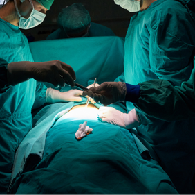 KVC Neden Biz Gorsel3 282x281 1